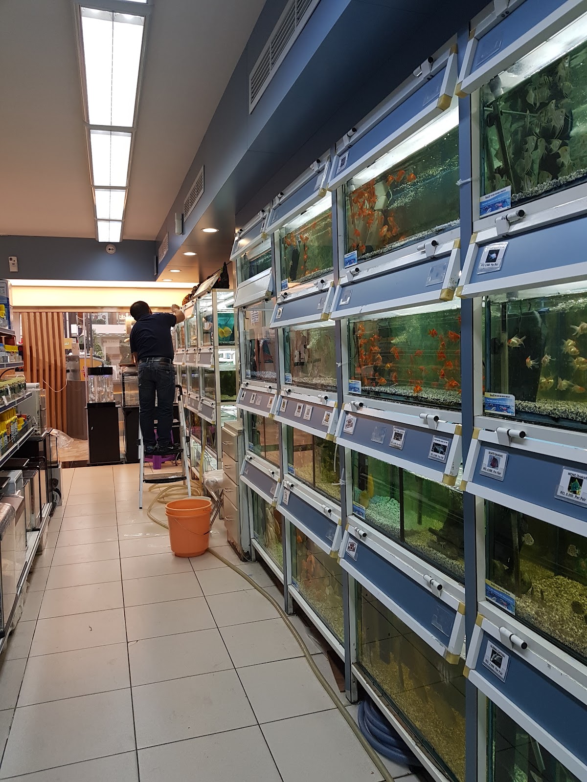 Sabco Shopping Centre - Photo 6